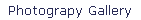 Photograpy Gallery